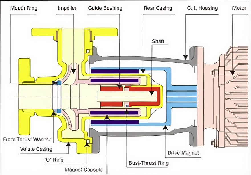 Magnetic Pump Section View